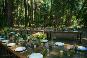 Wedding Reception at Harmony Ridge Lodge 2