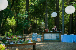 Wedding Reception at Harmony Ridge Lodge 3