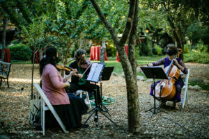 Wedding Ceremony 9