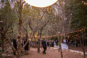 Wedding Reception at Harmony Ridge Lodge 11