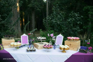 Wedding Reception at Harmony Ridge Lodge 16