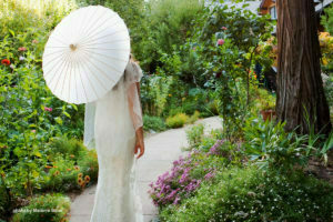 Weddings at Harmony Ridge Lodge 5