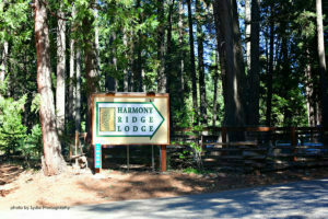 Harmony Ridge Lodge grounds 12