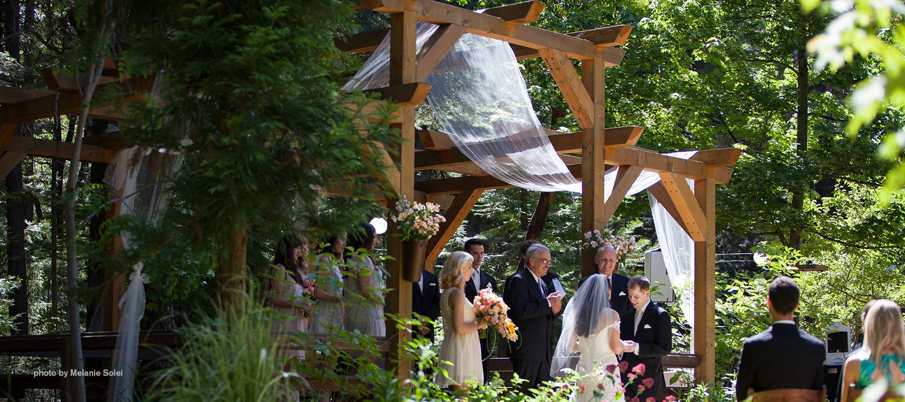 Wedding Pergola